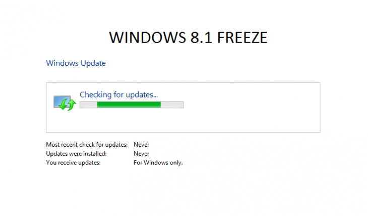 FIX: Windows 8.1 freeze checking for updates